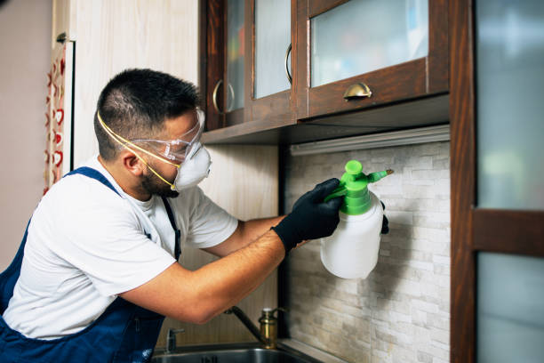 Reliable Garden Acres, CA Pest Control Solutions
