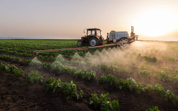 Best Emergency Pest Control  in Garden Acres, CA