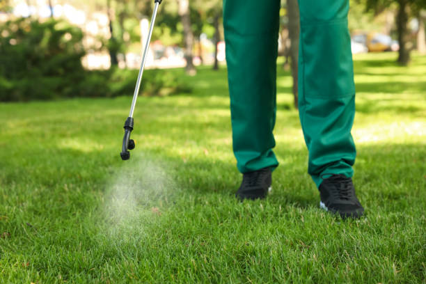 Best Emergency Pest Control  in Garden Acres, CA