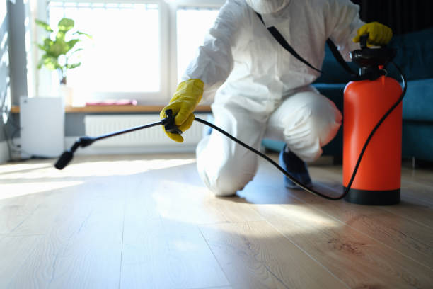 Best Local Pest Control Services  in Garden Acres, CA