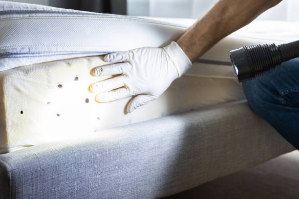 Best Mosquito Control Services  in Garden Acres, CA