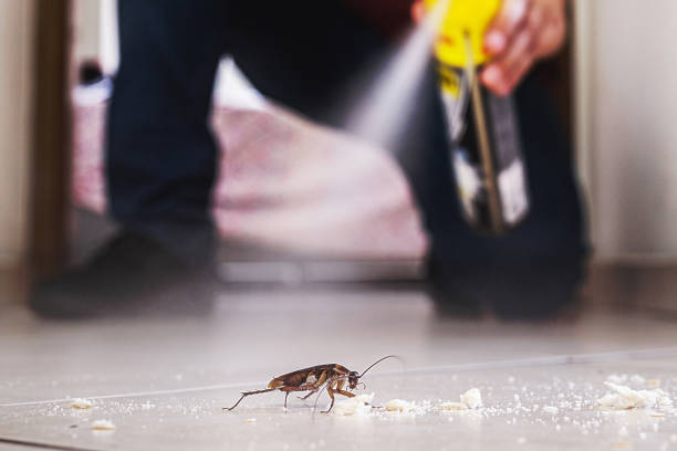 Best Pest Control Near Me  in Garden Acres, CA