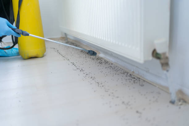 Best Bed Bug Extermination  in Garden Acres, CA