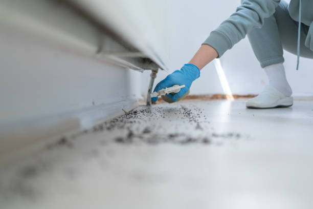 Best Wildlife Control Services  in Garden Acres, CA
