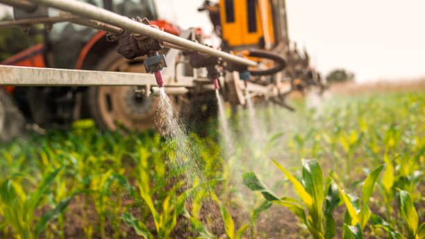 Best Insect Control  in Garden Acres, CA