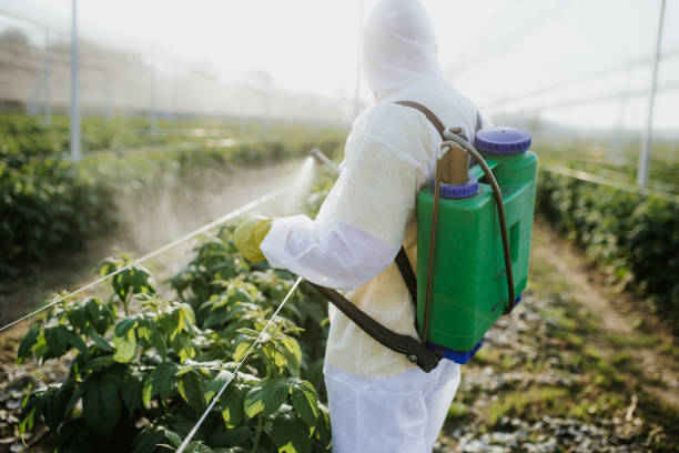 Best Pest Prevention Services  in Garden Acres, CA